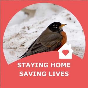 Meet your Posher, Glenda